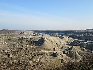 IMG 0161apogeytk