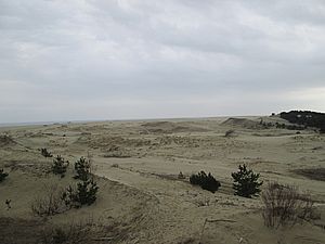 IMG 0376apogeytk