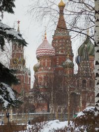 IMG 20221216 111612.jpgmal